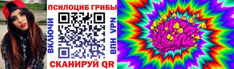 блэк спрут ТОР  Усолье-Сибирское  Галлюциногенные грибы GOLDEN TEACHER 