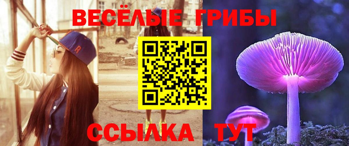 Псилоцибиновые грибы MAGIC MUSHROOMS Усолье-Сибирское