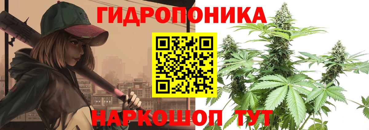 Бошки марихуана семена  Каннабис Amnesia  Вход с VPN  Шишки марихуана планчик  Усолье-Сибирское  Шишки марихуана семена 